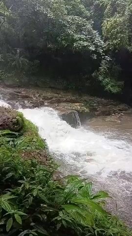 A waterfall cascades over rocks in a lush green forest. The water is white and foamy as it rushes down into a pool below. The surrounding trees are dense and vibrant, with sunlight filtering through the leaves. The camera pans slightly to the right, showing more of the forest and the river. There are no people or animals visible in the video. The overall scene is one of natural beauty and tranquility.