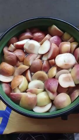 This is a close-up, top-down shot of a green enameled pot filled with sliced apples. The apples are cut into wedges, some with the skin on, showing variations in red and yellow colors. They are submerged in a clear liquid, likely water or syrup. The pot is placed on a surface that appears to be a stovetop, with a portion of a dark electric burner visible at the bottom of the frame. A blue and yellow patterned cloth or mat is also visible beneath the pot. The lighting suggests an indoor setting, possibly a kitchen. The video shows the apples being heated as the liquid around them appears to be gently bubbling or steaming, indicating they are cooking. The camera is static throughout the brief duration of the video.