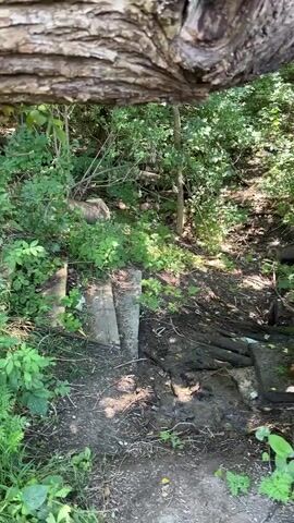 The video shows a ground-level view of a wooded area with a path made of logs and dirt. There are trees and green foliage visible. There is some debris on the ground, including a plastic bottle. The camera is moving, giving a sense of walking through the scene.