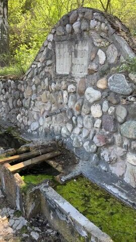 The video shows a natural water source. The water comes from a pipe protruding from a stone structure. A plaque on the structure has inscription, but the text is illegible. The water fills a series of concrete troughs filled with green algae. Wooden planks sit in one of the troughs. The source is surrounded by a forest.