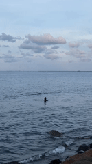 Coastal life documented in Lhokseumawe, Indonesia waterfront scenes