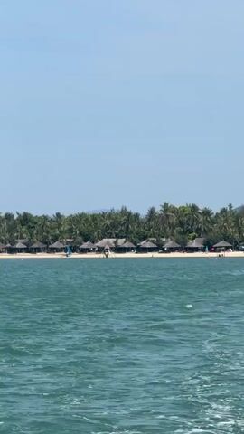 The video shows a wide, blue ocean with gentle waves in the foreground. In the background, a sandy beach is lined with numerous palm trees. Along the beach, there are several thatched-roof huts or cabanas, suggesting a resort or a row of bungalows. The sky is clear and bright blue. The overall scene depicts a tropical or coastal landscape on a sunny day.
