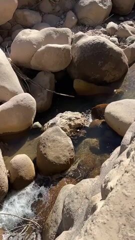 A narrow stream flows over rocks in a dry, rocky landscape. Sunlight glints off the water's surface. In the background, a wooden bridge spans the stream, and lush green vegetation grows on the banks. The scene is peaceful and serene.
