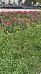 Spring morning scenes documented across Sofia, Bulgaria