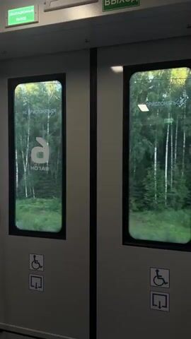 The video shows a view from inside a train compartment. There are two doors with windows. Through the windows, a dense forest is visible, with tall trees and green foliage. The lighting suggests it is daytime, possibly overcast, as the light is diffused. The windows have some text and logos on them. On the doors, there are accessibility symbols indicating spaces for wheelchairs and a door icon. The train appears to be in motion, as evidenced by the slight blur of the trees in the background and the speed of the view passing by. There are no people visible in the frame.