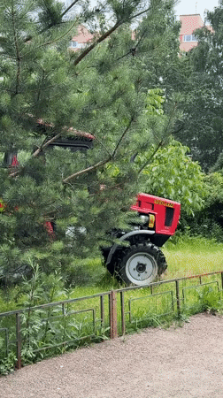 Tractor mows park grass alongside blooming roses in Saint Petersburg