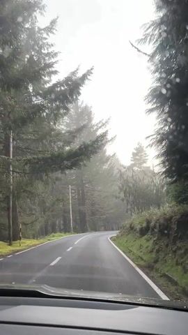 A car drives on a winding road through a dense forest. The forest is shrouded in fog and the trees are tall and green. The road is wet and the sky is overcast. The camera is mounted inside the car and faces forward. The car appears to be moving at a moderate speed.  The video is shot in daylight.