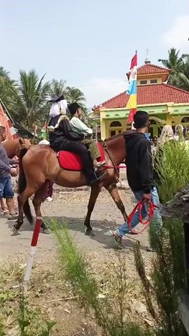 The video shows a procession of people and horses on a dirt road. In the foreground, a brown horse is being led by a man in a blue shirt and shorts. The horse is saddled with a red blanket, and two people, a woman and a child, are sitting on the saddle. The woman is wearing a headscarf and a black robe, and the child is wearing a white shirt and blue pants.

Behind this horse, more people and horses are visible. Some people are walking alongside the horses, while others are riding them. The people in the procession are wearing various clothing, including traditional Islamic attire and casual wear. There are flags and banners displayed along the road, suggesting a festive or ceremonial occasion.

In the background, there are buildings that appear to be houses and a mosque with a red roof and a minaret. Palm trees and other greenery are also visible, indicating a tropical or subtropical environment. The sky is clear and bright, suggesting a sunny day. The overall scene depicts a traditional procession or parade in a rural setting.