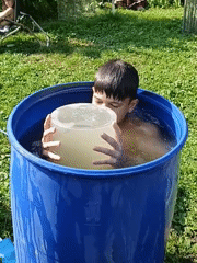 Hot day in a Russian backyard: barrel diving, cats, and a cow