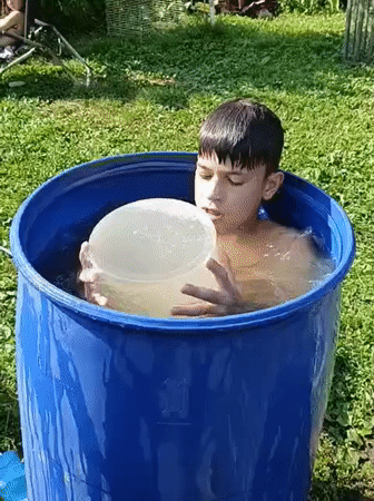 Hot day in a Russian backyard: barrel diving, cats, and a cow