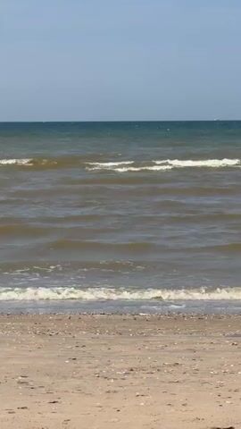 The video shows a static, eye-level shot of a beach and the ocean. The foreground is a sandy beach with scattered shells and debris. The middle ground consists of choppy, brown-colored ocean water with white foam on the incoming waves. The background is a hazy blue sky that meets the ocean horizon. No people or objects are visible in the water or on the beach. The overall scene is a natural, outdoor environment on a clear day.