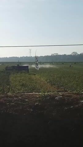 The video shows an aerial view of a rural landscape with fields and trees under a bright sky. In the foreground, there is a dark, textured area, possibly soil or a road. Beyond this, a green field stretches out, appearing to be cultivated. Scattered across the field are various objects, including small structures that could be sheds or shelters, and what appear to be agricultural tools or equipment. A tall pole with power lines runs across the upper part of the frame. In the middle ground of the field, a tall, thin object, possibly a pole or a thin tree, is visible, with a flag or banner attached to it. A white mist or spray is emanating from a source to the right of this object, suggesting an irrigation or spraying system is in operation. In the distance, more trees form a line along the horizon, and power pylons are visible, indicating the presence of infrastructure. The overall impression is of an agricultural area being tended to, possibly during the early morning given the brightness of the sky and the mist. No people are clearly visible in the frame.