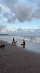 Traditional Balinese photoshoot on dark sand beach in Kediri