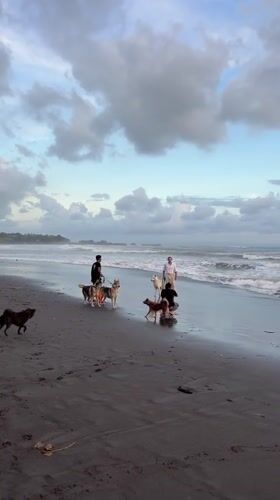 Traditional Balinese photoshoot on dark sand beach in Kediri