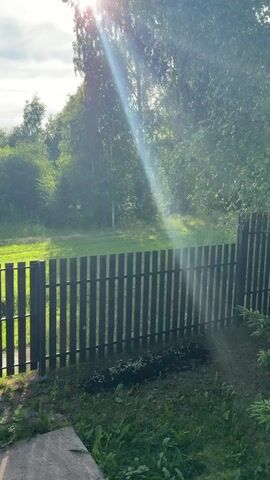 The video shows a fence with vertical slats. Sunlight streams through trees in the background. A patch of grass and some plants are visible in front of the fence.