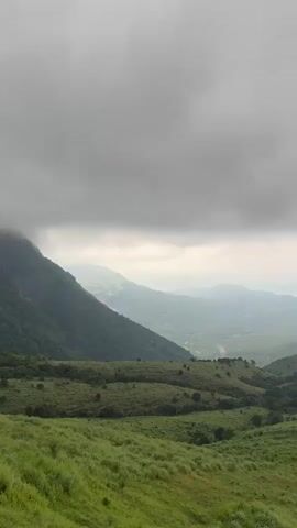 The video shows a wide, verdant mountain range under an overcast sky. Lush, green grass covers the rolling hills in the foreground, dotted with occasional trees. In the distance, more mountains are visible, fading into a misty blue-green hue. A winding road snakes through the valley, hinting at civilization amidst the natural landscape. The gray sky dominates the upper portion of the frame, casting a soft, diffused light over the scene.