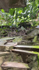 Exploring a forgotten jungle ruin on Ko Samui