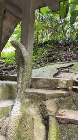 Exploring a forgotten jungle ruin on Ko Samui