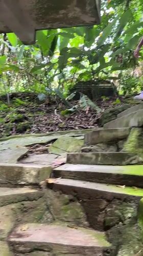 Exploring a forgotten jungle ruin on Ko Samui