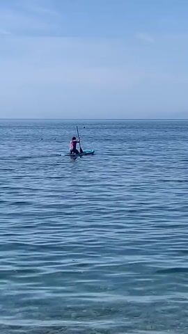 This media file shows a person paddleboarding on a calm, clear blue sea under a bright, sunny sky. The person, wearing a pink top and dark shorts, is in the middle distance, standing on a teal paddleboard and holding a paddle. The water is slightly rippled, indicating a gentle breeze. In the background, the horizon is a soft blue, with a faint line of land or mountains visible in the far distance. The foreground shows a rocky shoreline, suggesting a coastal setting. The overall impression is one of peacefulness and outdoor recreation on a beautiful day. There is no visible text in the media file.