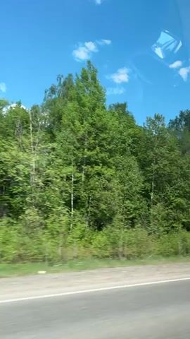 The video shows a view from a moving vehicle, likely a car, looking out the side window. The main focus is the scenery passing by, consisting of a dense forest with lush green trees. The sky is bright blue with scattered white clouds.  A gray asphalt road is visible in the foreground.  There are utility poles along the roadside. The camera is steady, but the passing landscape is blurred due to the vehicle's movement.