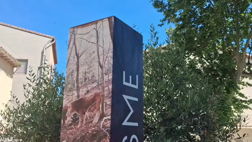 The video shows a tall rectangular sign with the word "SENDARISME" vertically written on it in white lettering. The sign is decorated with various nature scenes in a collage style: one side shows a herd of brown cows in a forest setting, another shows a large tree, and the final visible side features a stone structure against a blue sky.  The sign stands on a paved sidewalk in an outdoor location. Olive trees and a building are visible in the background. The sky is clear and blue.