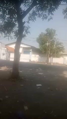 A medium shot captures a view of a street with a building and trees. The foreground is dominated by the dark, dusty ground, littered with trash. A large tree trunk is visible on the left, its branches and leaves extending into the upper portion of the frame, casting shadows. Across the street, a long, low-rise building with a white facade and a lighter-colored roof is situated. A few trees are planted in front of the building. Utility poles and wires are also visible in the background. The sky is bright and clear, suggesting daytime. The overall scene appears to be an outdoor urban or industrial environment.