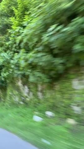 The video, filmed from a moving vehicle, captures a scenic drive through a lush green landscape in Achadara, Abkhazia. The camera moves rapidly past a dense hillside covered in various green trees and bushes, indicating a fast-paced journey. A stone wall, partially covered with greenery, runs alongside the asphalt road. Bright sunlight suggests it is daytime with clear weather.

Around the 0:02 mark, two triangular road signs with red borders appear briefly on the right side of the road. These are warning signs indicating a steep slope, likely a combination of steep ascent and descent given the two arrows pointing in opposite vertical directions within the triangles. The overall scene portrays a natural, possibly mountainous or hilly environment, characterized by abundant vegetation and a winding road.