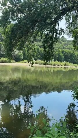 The video shows a riverbank with trees and vegetation. The water is calm and reflects the surrounding greenery. On the riverbank, there are two people, a child and an adult, who appear to be playing or wading in the water. The child is wearing a yellow swimsuit and the adult is wearing yellow shorts. The scene is peaceful and appears to be a warm, sunny day.