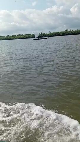 The video depicts a body of water, likely a river or bay, with a boat moving through it. A small sailing boat is visible in the distance. The water is dark and choppy, with white foam created by the movement of the boat filming the video. The opposite bank of the water is lined with dense, green vegetation. The sky is partially cloudy.