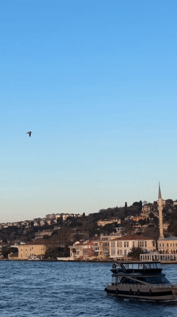 Observer captures Istanbul skyline and Bosphorus Bridge from Üsküdar