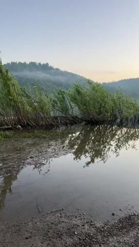 The video shows a tranquil scene of a calm lake with trees and hills in the background. The sun is low, casting a soft light. There are no people or animals visible. The water is still, reflecting the trees and the sky. The overall impression is one of peace and natural beauty.