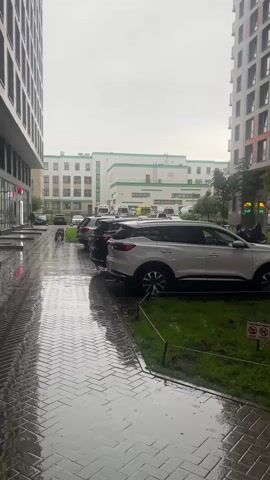 The video shows a street scene on a rainy day. Tall apartment buildings flank a wet, paved walkway and a grassy area with parked cars. Several cars are parked along the side of the road, and a person is walking a dog on the wet pavement. In the background, there are more buildings, including one with green trim. The sky is overcast and the ground is wet, indicating it has been raining or is currently raining.