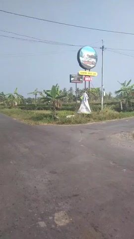 A rural road intersection is shown. The road is paved and appears to be in moderate condition, with some cracks and patches visible. On the left side of the intersection, there are a series of signs. The largest is a circular sign with a scenic image, possibly of a natural landscape. Below it, there are smaller rectangular signs, one of which appears to be a directional sign. A white banner is also tied to a pole near the signs. In the background, there are fields with crops, possibly rice paddies, and several banana trees. Power lines are visible overhead. On the right side of the intersection, a street sign reading "JL. PANCUNG" is posted on a pole. The sky is overcast, suggesting a cloudy day. The overall impression is a quiet, rural setting. There are no people or vehicles visible in the video.