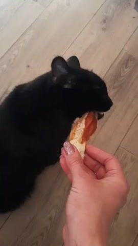 A black cat with white whiskers is on a wooden floor. A person's hand with glittery fingernails holds a piece of food, possibly dried meat or a treat, towards the cat. The cat is sniffing and licking the food, with its head tilted. The background shows a wooden floor and some out-of-focus objects. The video appears to be a short, close-up clip of the cat being offered a treat.