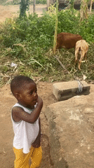 Afternoon in Jawu: goats grazing, a music setup, everyday life