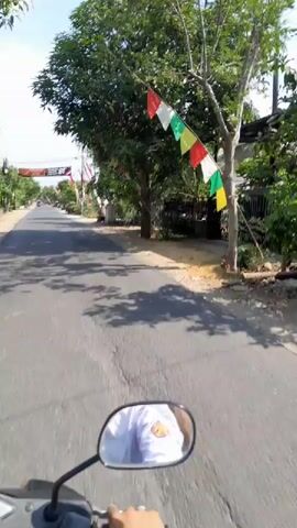 The video shows a first-person perspective of someone riding a motorcycle on a paved road. Trees line the sides of the road, and flags are visible, some attached to poles and others hanging from wires. A banner with the text "Dirgahayu Republik Indonesia 81" is also visible, suggesting a celebration of Indonesia's Independence Day. Shadows of trees are cast on the road, indicating a sunny day. The rider's hand is visible on the handlebar, and a reflection of the rider, wearing a white shirt with a logo, is seen in the motorcycle's mirror. The environment appears to be a rural or suburban area with houses and vegetation.