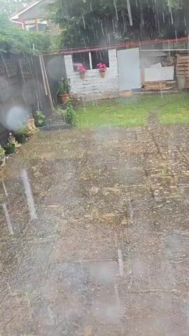 A heavy rain falls on a backyard. The ground is paved with stone and is wet. A patch of grass is visible. In the background, there is a small white shed with pink flowers in pots on its windowsill. To the left of the shed is a wooden fence. A tree with green leaves overhangs the fence. The rain creates streaks of water that blur the image. The scene is overcast and appears to be daytime.