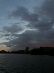 Evening riverside walk captures London spring blooms, construction, graffiti