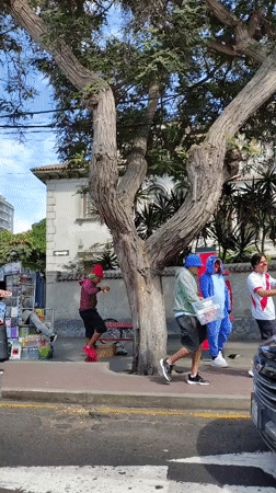 Evening street life and Harry Potter book spotted in Miraflores