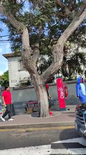 Evening street life and Harry Potter book spotted in Miraflores