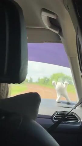 The video shows the view from inside a car looking out the windshield. A dirt road winds through a green, wooded landscape under a cloudy sky. On the dashboard, a small, white, stuffed toy with arms outstretched is visible. The camera is positioned behind a headrest, suggesting the viewer is a passenger. The interior of the car appears modern, with dark upholstery and a seatbelt secured. A purple tint is applied to the top portion of the windshield.