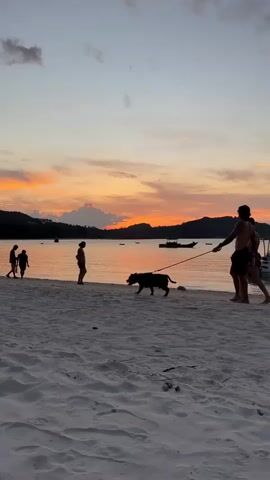 Two people walk a dog on a leash along a white sand beach at sunset. The sky is multicolored with oranges and blues. Other people stand and walk on the beach. There are boats in the water. Hills are silhouetted against the horizon.