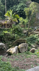 Temples, rice fields, and ceremonial streets in Tampaksiring