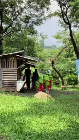 The scene takes place in a green, grassy park with trees lining the perimeter. A small, wooden shack stands to the left of the frame. Several people are gathered around the shack, interacting with each other. Among them, a group of children are wearing bright green tops and red bottoms. Some other adults are dressed in black. There's a sign standing to the right of the group. Beyond the trees, the background reveals a slightly elevated, green area. The sky above appears overcast.