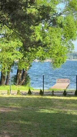The video shows a view of a lake on a windy day, framed by a tree and a green mesh fence. The lake is choppy with visible waves. A wooden dock is partially submerged in the water, extending from the shore. The foreground consists of a grassy area dotted with small evergreen shrubs. Beyond the lake, a distant treeline is visible on the opposite shore. The weather appears sunny with clear skies. The camera remains static throughout the video.