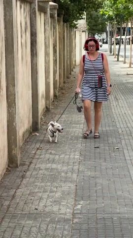 A woman with red headphones and a striped dress walks a small white dog on a leash down a paved sidewalk next to a tall, textured, stone wall. The dog is trotting ahead of the woman. Behind the wall, trees are visible. The sidewalk is made of interlocking grey bricks. The woman is wearing sandals and carrying a small crossbody bag.