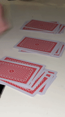 Woman plays solo card game in Kragujevac apartment