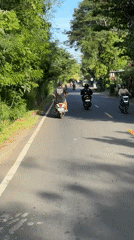 Scooter riders travel tree-lined road in Kuta Selatan