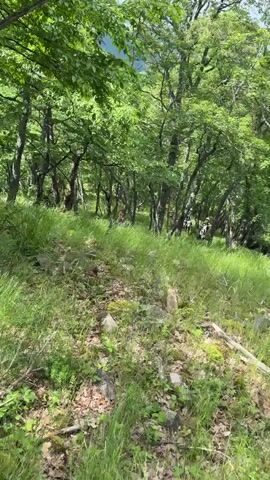 A downward camera angle captures a dirt path filled with rocks and dry leaves, surrounded by green grass and trees with bright green leaves on either side. In the background, people walk through the grass and trees. The camera moves forward along the path.